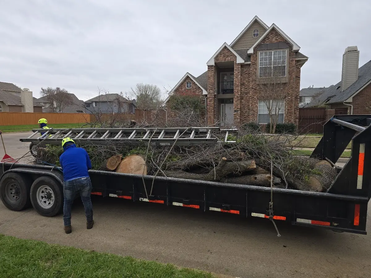 Expert Tree Fertilization with proper safety equipment in Chaffee